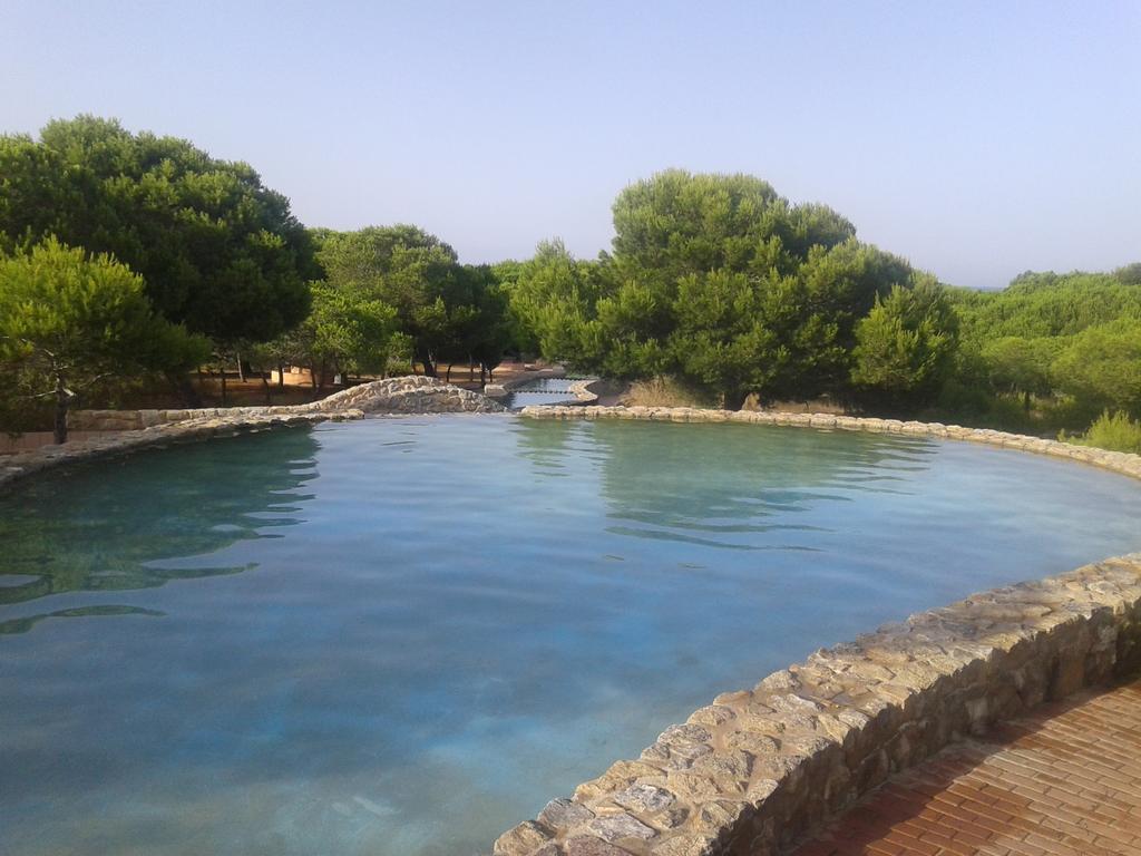 Apartement A La Mata Torrevieja Dış mekan fotoğraf