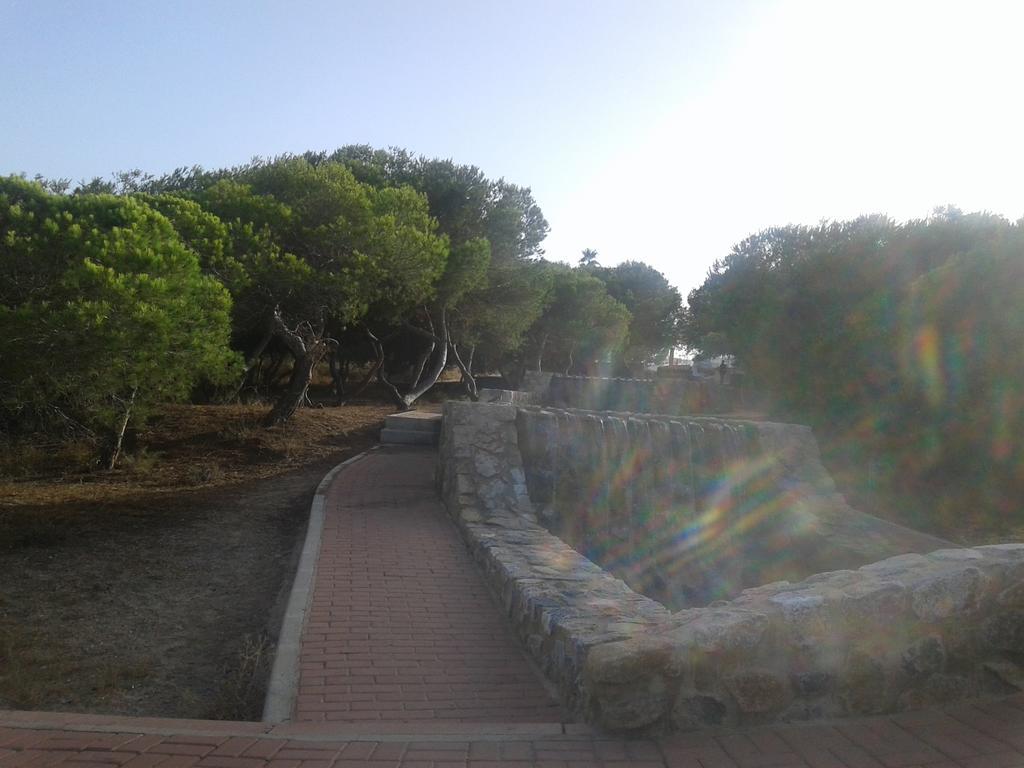 Apartement A La Mata Torrevieja Dış mekan fotoğraf